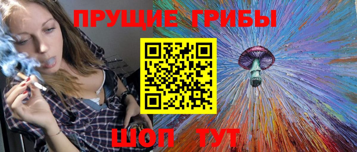 Псилоцибиновые грибы прущие грибы  Вход с VPN  Сертолово 