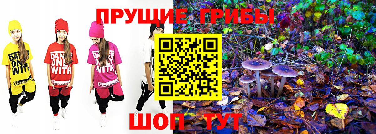 Псилоцибиновые грибы GOLDEN TEACHER Сертолово